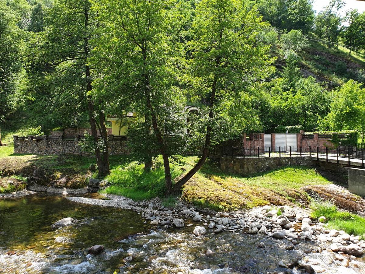 Kesta Za Gosti Fedor Villa Ribarica Exterior photo